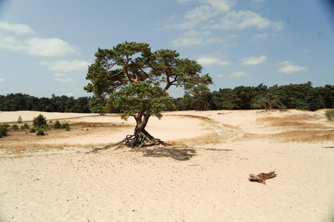 Veluwe Hotel De Beyaerd Hulshorst Екстер'єр фото